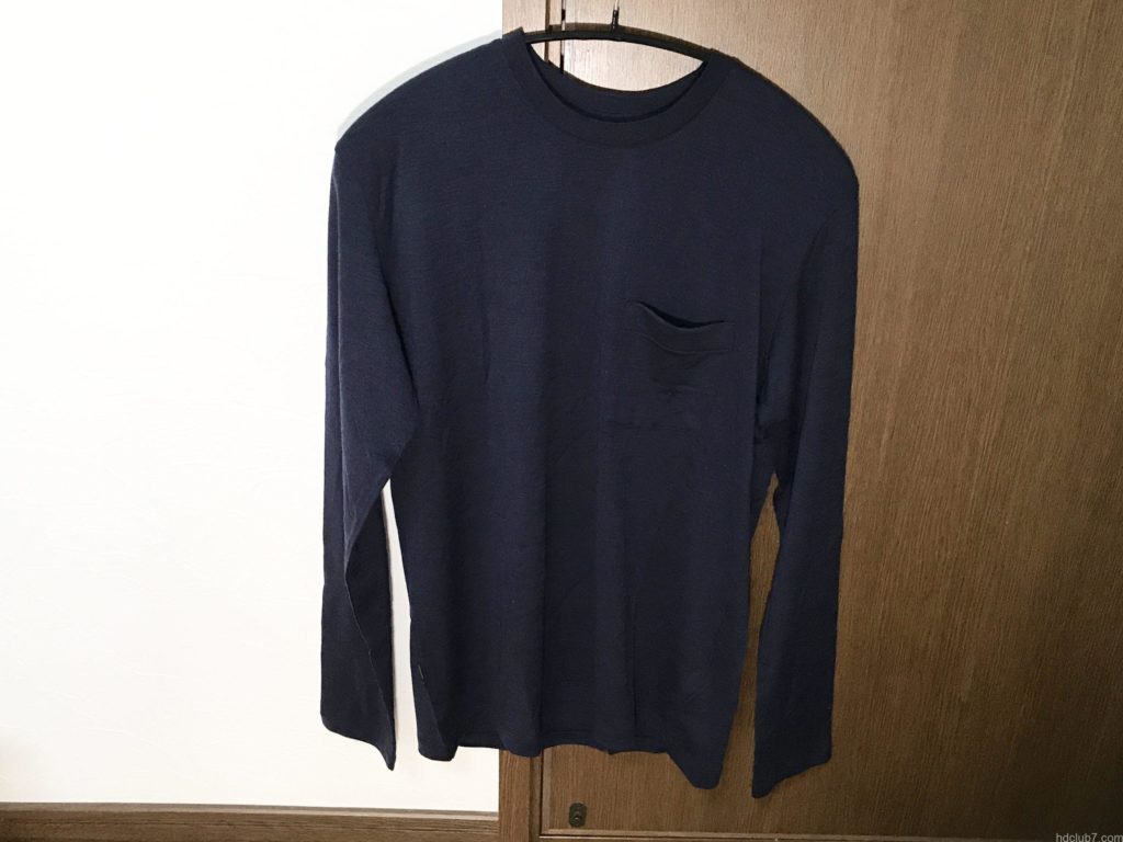 前編 わざわざ高価なアイスブレーカーのメリノウールtシャツを買った理由 高価でも買う価値があると判断した ヘビーデューティー倶楽部