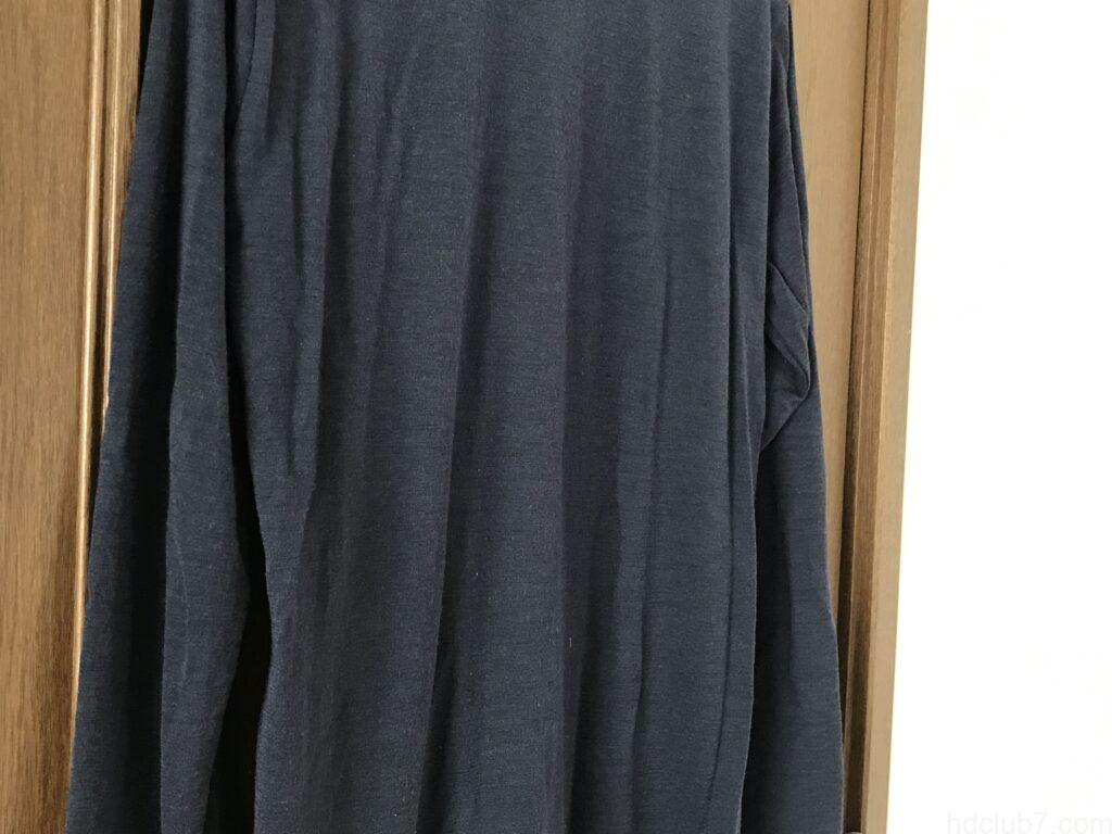 登山で直接バックパックを背負ったあとのアイスブレーカーのメリノウールTシャツ(合計50回着用後)