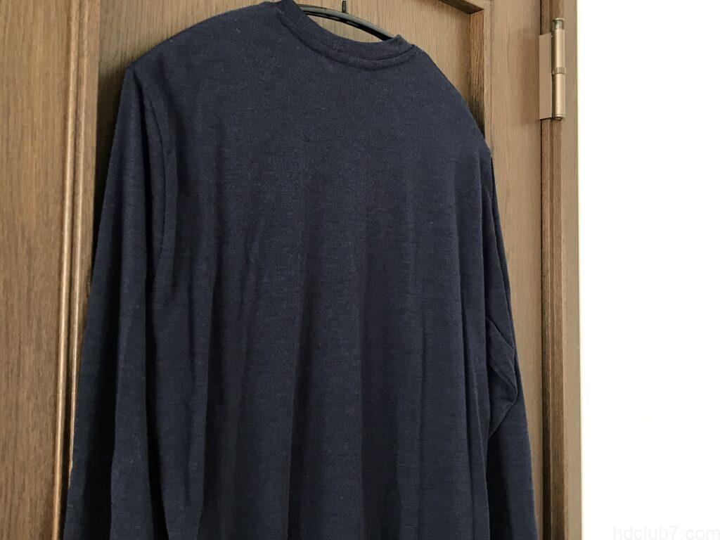 登山で直接バックパックを背負ったあとのアイスブレーカーのメリノウールTシャツ(合計50回着用後)