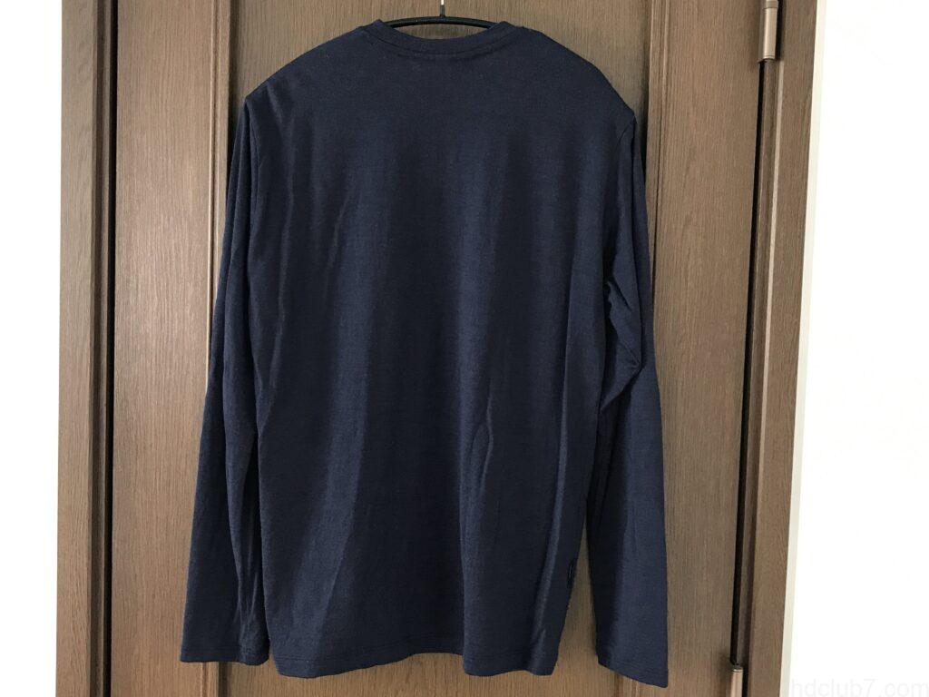 登山で直接バックパックを背負ったあとのアイスブレーカーのメリノウールTシャツ(合計50回着用後)