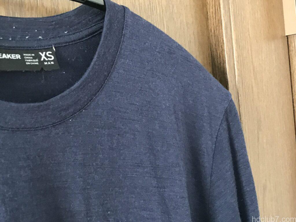 登山で直接バックパックを背負ったあとのアイスブレーカーのメリノウールTシャツ(合計50回着用後)